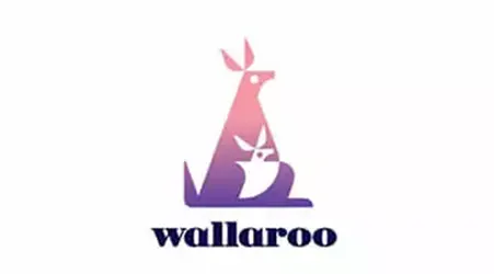 Website Design